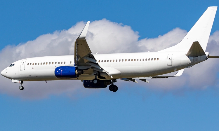 航空機・ヘリコプター BOEING 737-800 Flapper